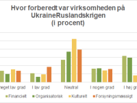 Virksomheders Forudsigelser om Krisers Varighed